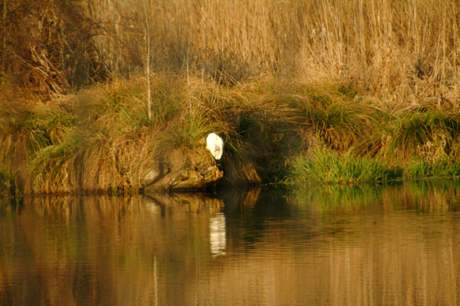 Riserva Regionale Lago di Posta Fibreno